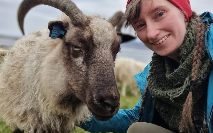 Guðlaug G. I. Bergsveinsdóttir með Freyju, næst elstu forystukindina sína.