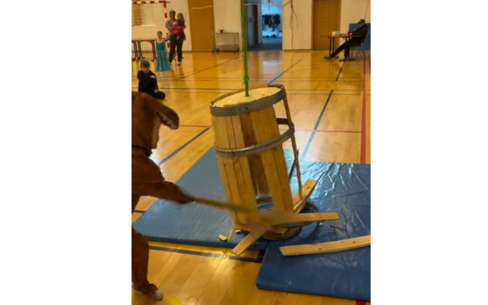 mynd, Embla Bachmann