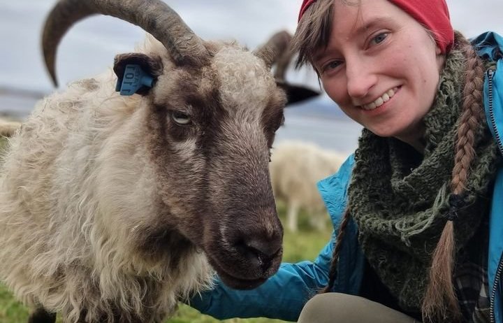 Guðlaug G. I. Bergsveinsdóttir með Freyju, næst elstu forystukindina sína.